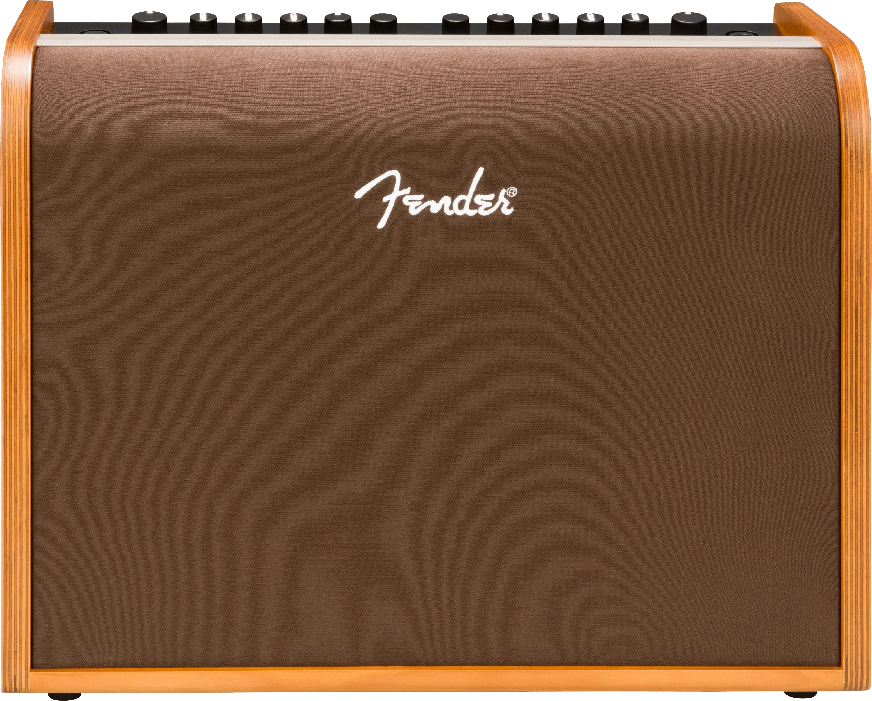 Acoustic 100 1 Acoustic 100