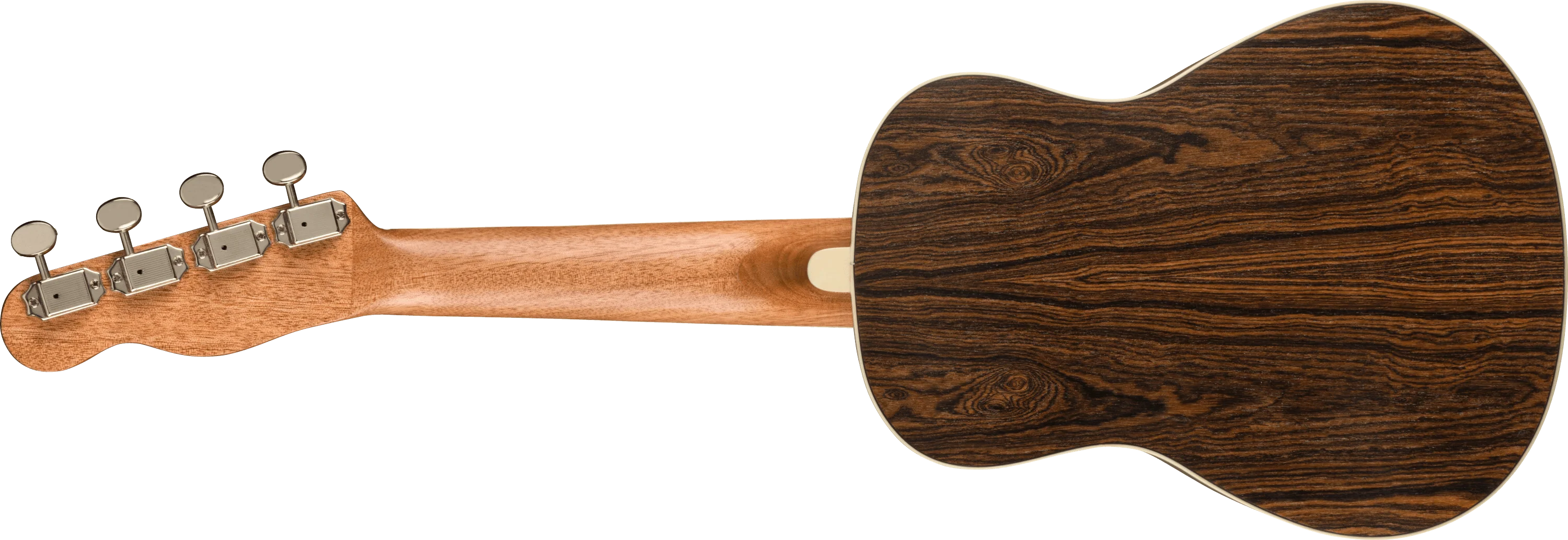 Zuma Exotic Concert Ukulele 2 Zuma Exotic Concert Ukulele
