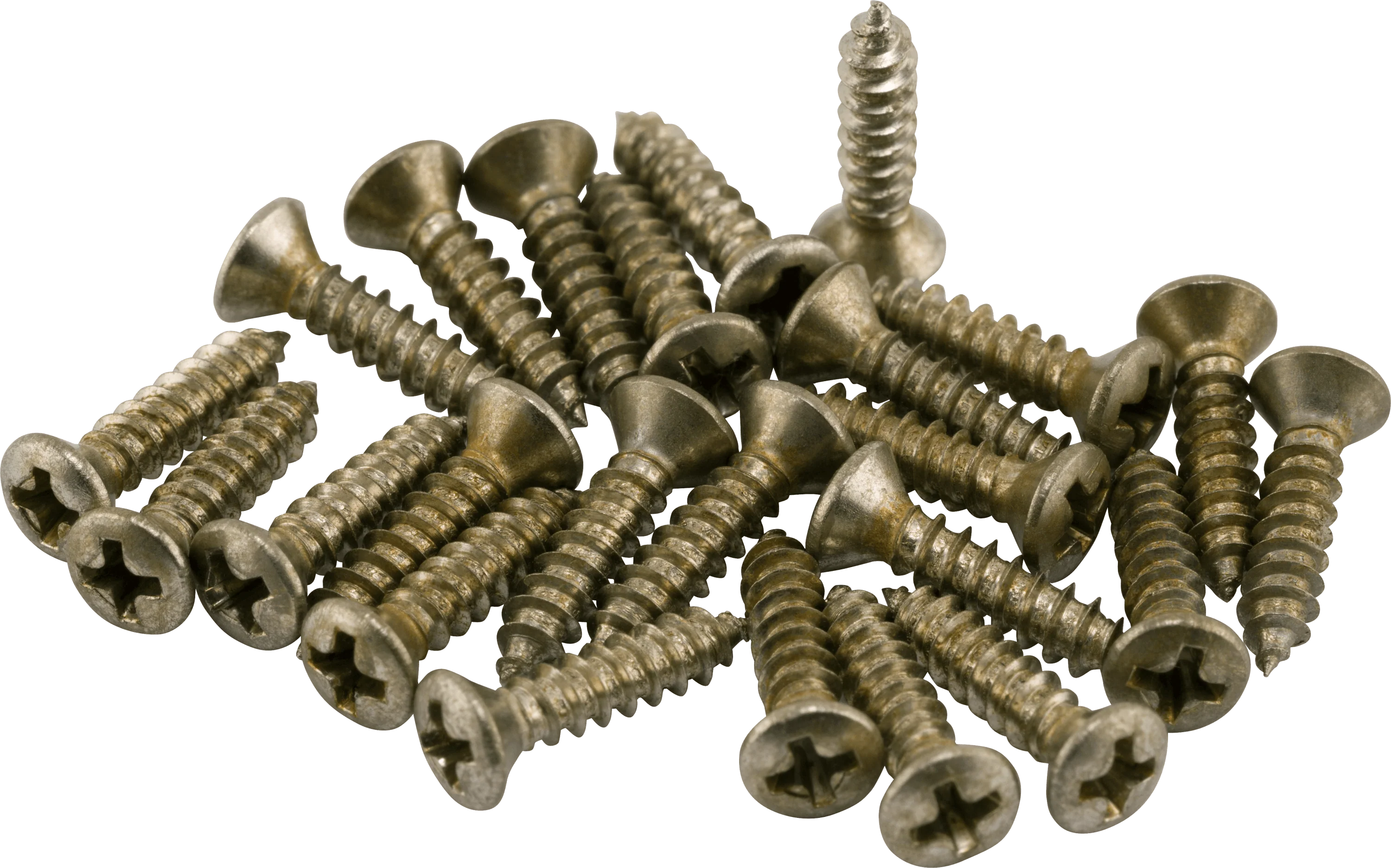Road Worn® Pickguard/Control Plate Screws (24)