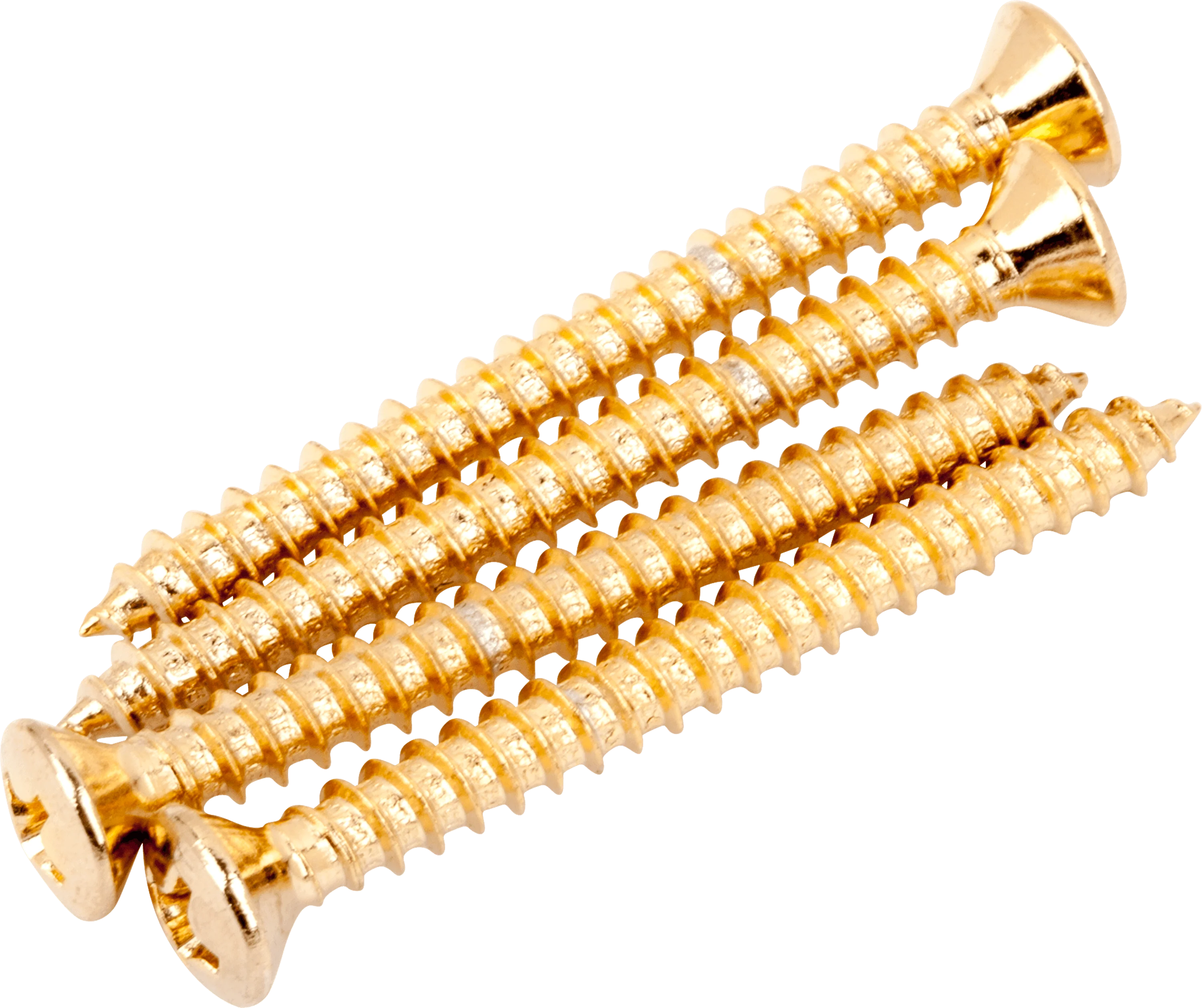 Neck Mounting Screws (4)