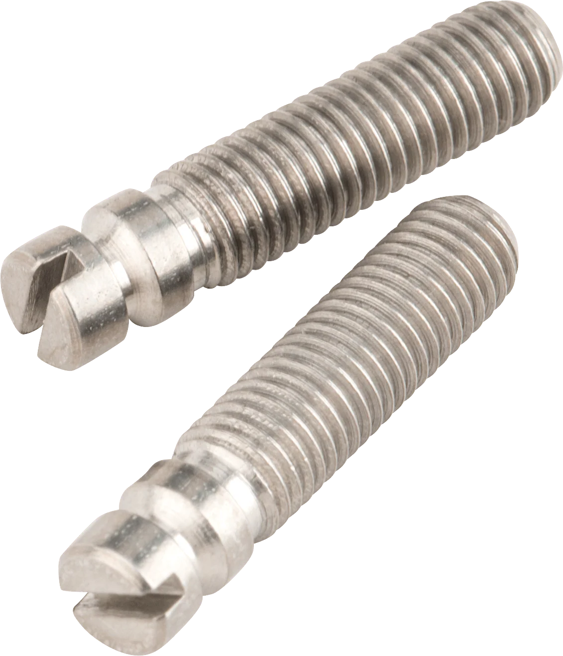 Bridge Pivot Screws (2) 1 Bridge Pivot Screws (2)